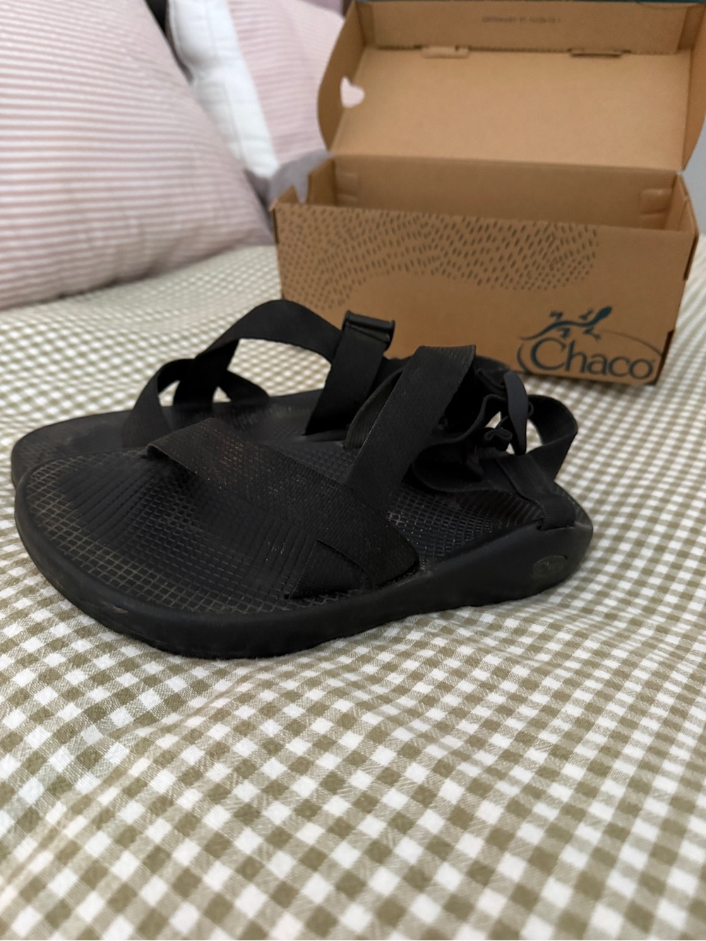 Chaco Mens Z/Cloud Sandals